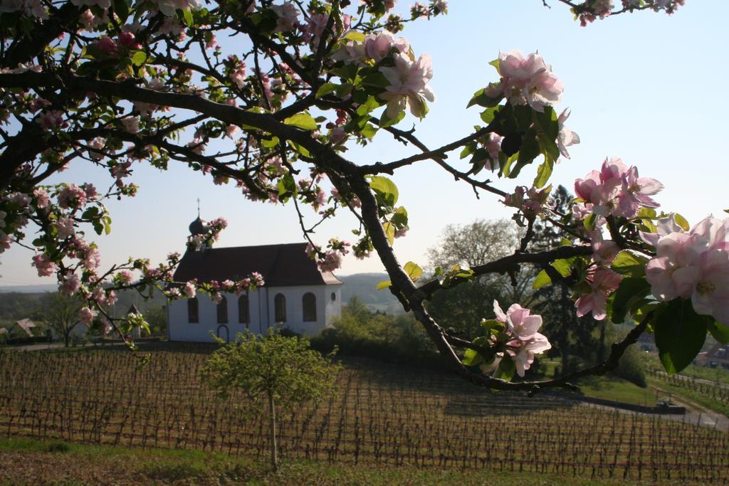 Villa Mandelbluete Gleiszellen-Gleishorbach Cameră foto